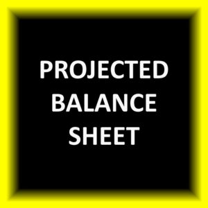 Projected Balance Sheet