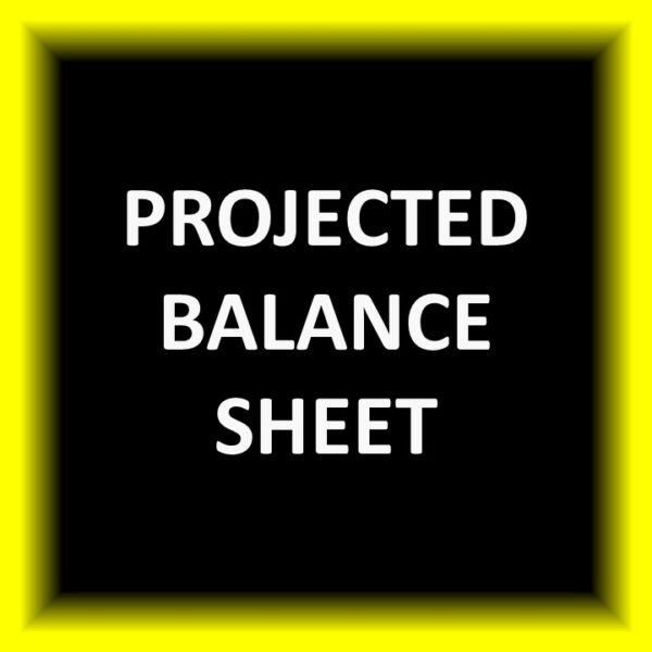 Projected Balance Sheet