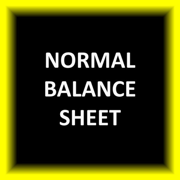 Slide16 Normal Balance Sheet