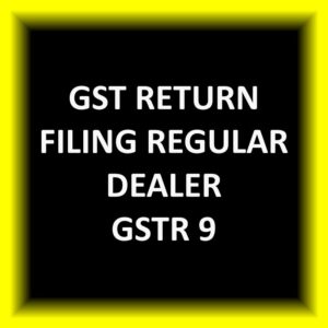 GST Return Filing Regular Dealer GSTR 9