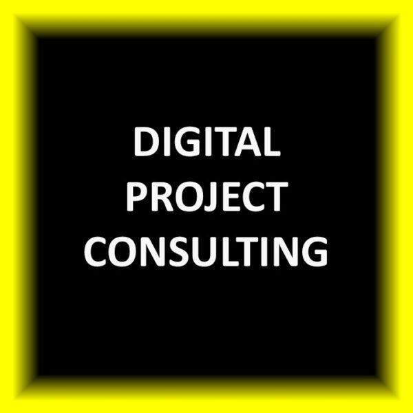 Digital Project Consulting